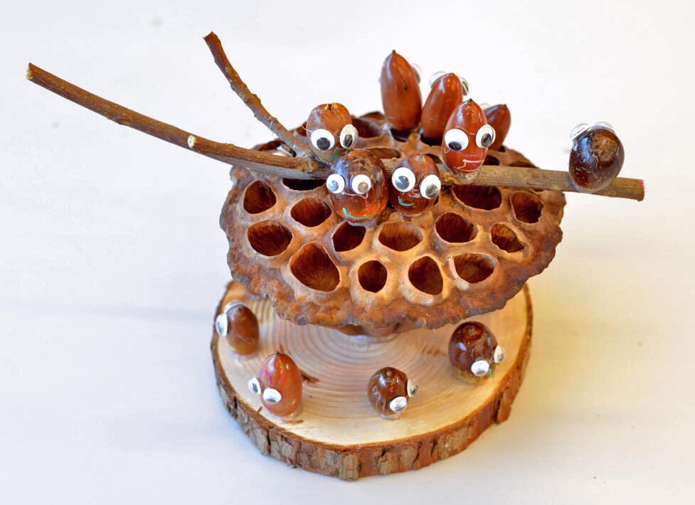 木の実や枝を使ったクラフト作品