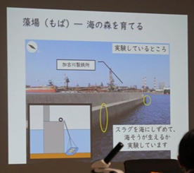 藻場の説明スライド